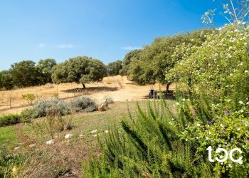 Villa Padru - foto 6