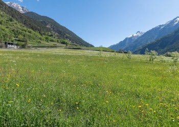 One-room apartment Frazione Les Gontùs 3, Valpelline - photo 16