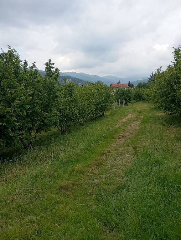 Agricultural land Pinerolo - photo 2