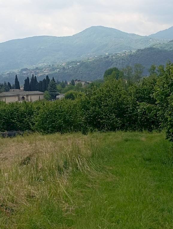 Agricultural land Pinerolo - photo 3