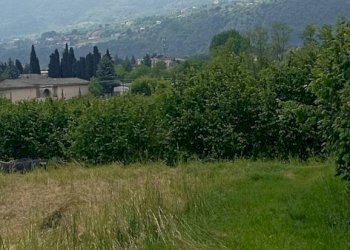 Terreno agricolo Pinerolo - foto 3