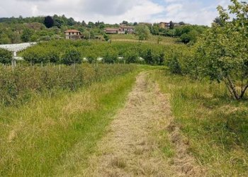 Terreno agricolo Pinerolo - foto 5