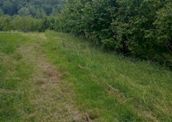 Terreno agricolo Pinerolo - foto 17