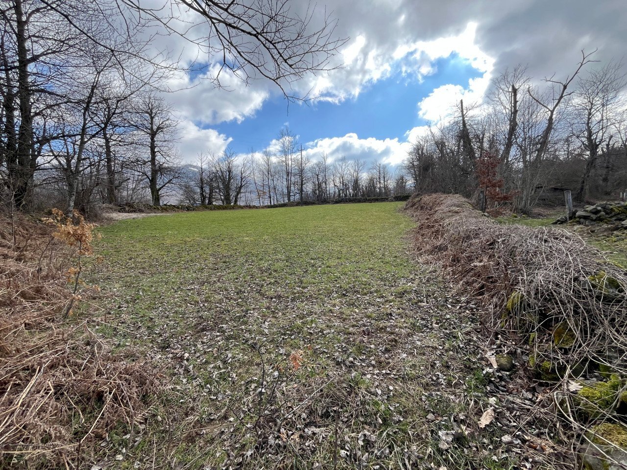 Building land Corniglio - photo 1