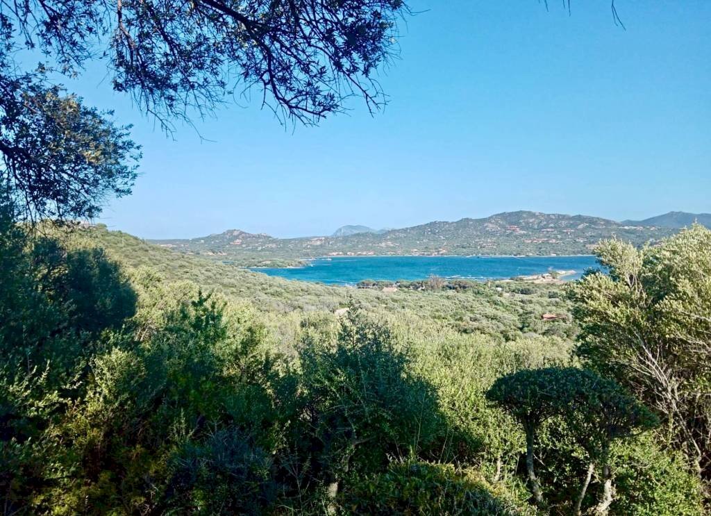 Vista - Bilocale Località Cugnana Verde, Olbia - foto 2