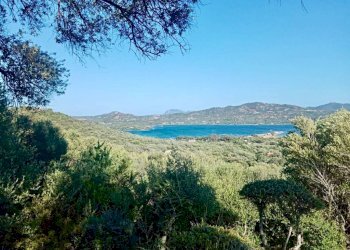 Vista - Bilocale Località Cugnana Verde, Olbia - foto 2