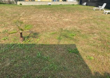 Terreno - Rustic via Santa Fede, 20, Cavagnolo - photo 48