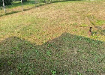 Terreno - Rustic via Santa Fede, 20, Cavagnolo - photo 49