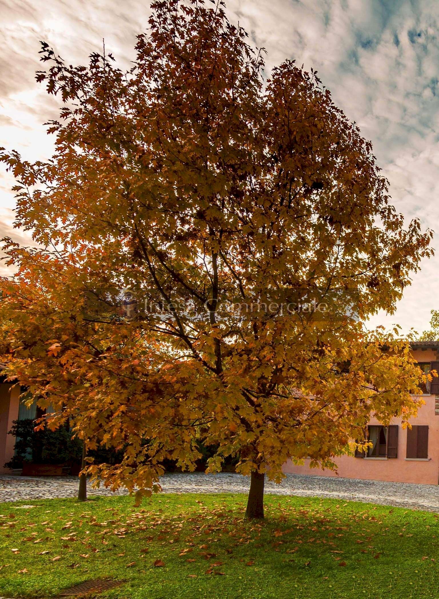 Esterno - Villa Brescia - photo 2