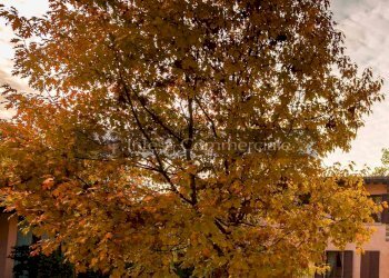 Esterno - Villa Brescia - foto 2