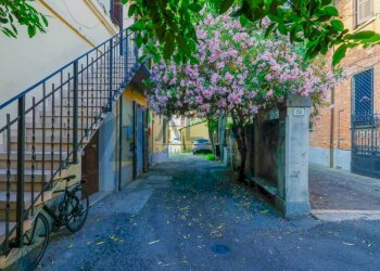 Interno palazzo - Three-room apartment via Felice Orsini, Forlì - photo 23