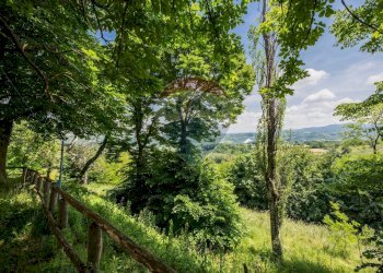 Casale Località Gennara 
 Tagliolo Monferrato, AL, Tagliolo Monferrato - foto 32