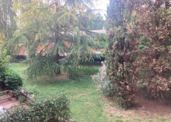 Appartamento San Lazzaro di Savena - foto 3