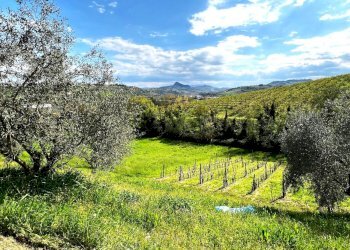 Shed Santarcangelo di Romagna - photo 6