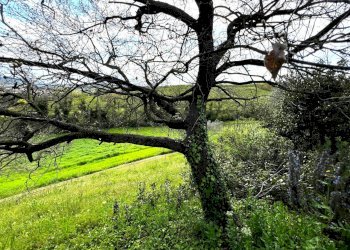 Shed Santarcangelo di Romagna - photo 8
