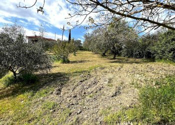 Shed Santarcangelo di Romagna - photo 10