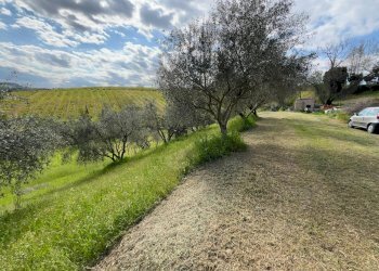 Shed Santarcangelo di Romagna - photo 11