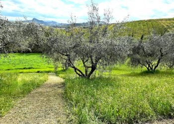 Shed Santarcangelo di Romagna - photo 15