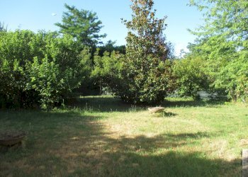 Appartamento Rivergaro - foto 4