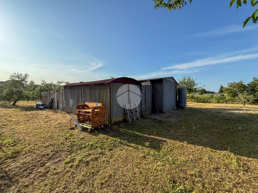Terreno agricolo Via Cà Andrino, Misano Adriatico - foto 1