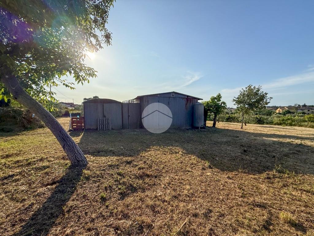 Terreno agricolo Via Cà Andrino, Misano Adriatico - foto 2