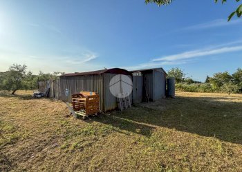 Terreno agricolo Via Cà Andrino, Misano Adriatico - foto 1