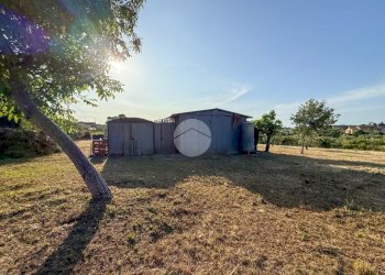 Terreno agricolo Via Cà Andrino, Misano Adriatico - foto 3