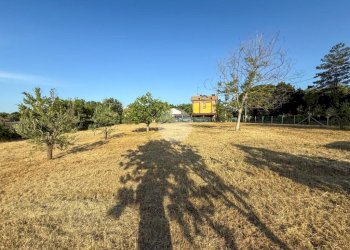 Terreno agricolo Via Cà Andrino, Misano Adriatico - foto 4