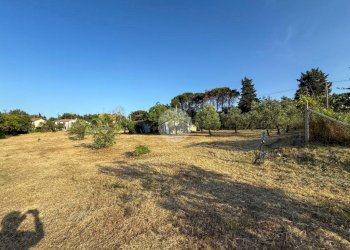 Terreno agricolo Via Cà Andrino, Misano Adriatico - foto 6