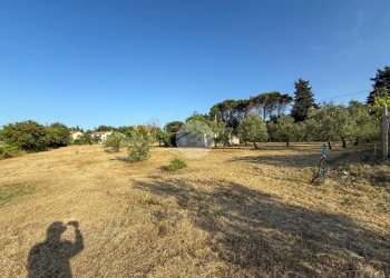 Terreno agricolo Via Cà Andrino, Misano Adriatico - foto 7
