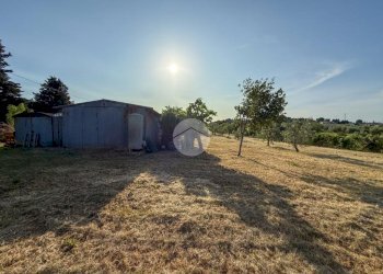 Terreno agricolo Via Cà Andrino, Misano Adriatico - foto 9