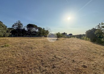 Terreno agricolo Via Cà Andrino, Misano Adriatico - foto 12