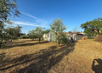 Terreno agricolo Via Cà Andrino, Misano Adriatico - foto 14