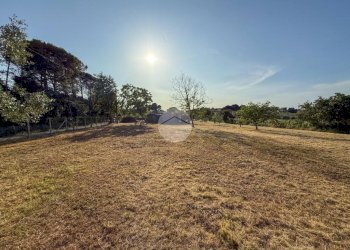 Terreno agricolo Via Cà Andrino, Misano Adriatico - foto 15
