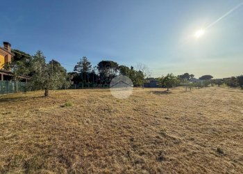Terreno agricolo Via Cà Andrino, Misano Adriatico - foto 17
