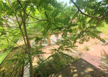 Villa Via Madonnina, Castellar Guidobono - foto 28