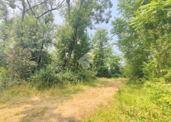 Villa Via Madonnina, Castellar Guidobono - foto 32