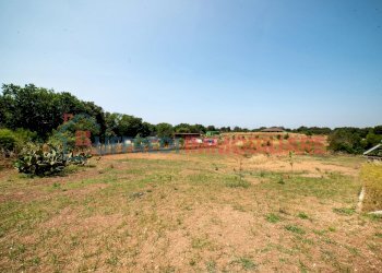 Appartamento Aprilia - foto 5