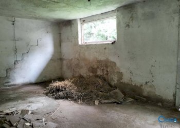 Casa indipendente Via Don Giuseppe Basso, 20, Cuneo - foto 29