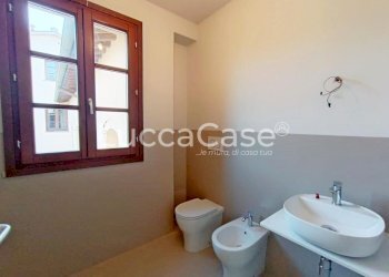 Small Villa Lucca (neighborhood Monte San Quirico) - photo 41