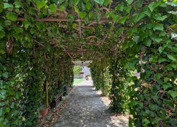 Villa Via Francesco Jovine, 7, Isernia - foto 7