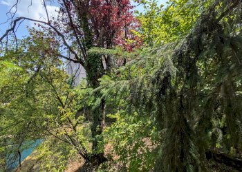 Villa Via Francesco Jovine, 7, Isernia - foto 15