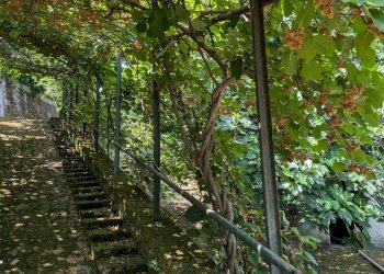 Villa Via Francesco Jovine, 7, Isernia - foto 19