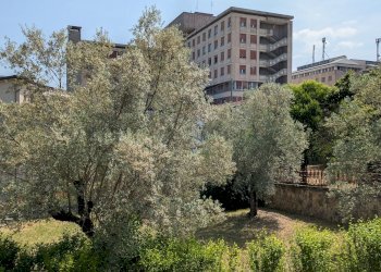 Villa Via Francesco Jovine, 7, Isernia - foto 36