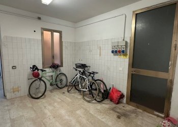 Negozio Castel San Pietro Terme - foto 14