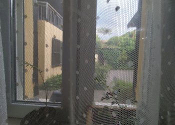 Porzione di casa Parma - foto 24