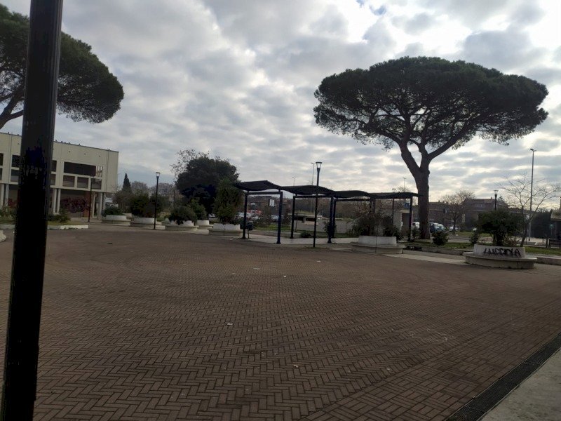 Commercial Activity Largo Capelvenere, Roma (neighborhood Acilia) - photo 3