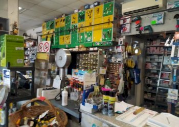 Commercial Activity Largo Capelvenere, Roma (neighborhood Acilia) - photo 5