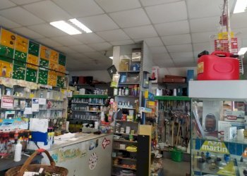 Commercial Activity Largo Capelvenere, Roma (neighborhood Acilia) - photo 7