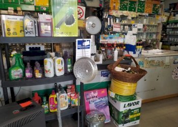 Commercial Activity Largo Capelvenere, Roma (neighborhood Acilia) - photo 8